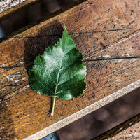 Work-life-Balance, Achtsamkeit, Flow, 