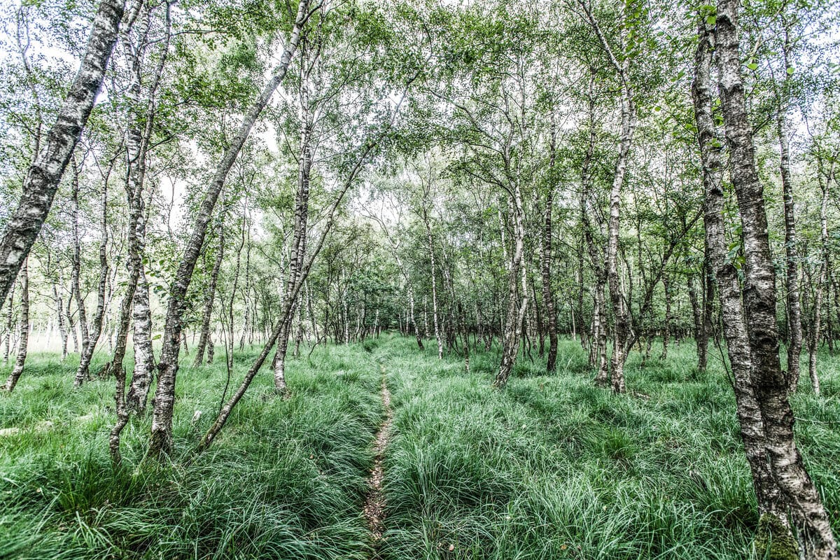 Passung, Berufliche Entwicklung, Christian Birke Coaching, Beruf, Führungskräfte Coaching, Kiel