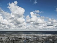 Christian Birke Coaching, Naturschutz, Ostsee, Kiel