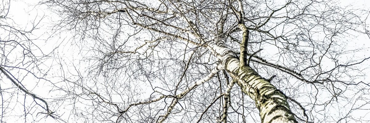 Coaching Kiel, Coach Kiel, Pers&ouml;nlichkeitsentwicklung