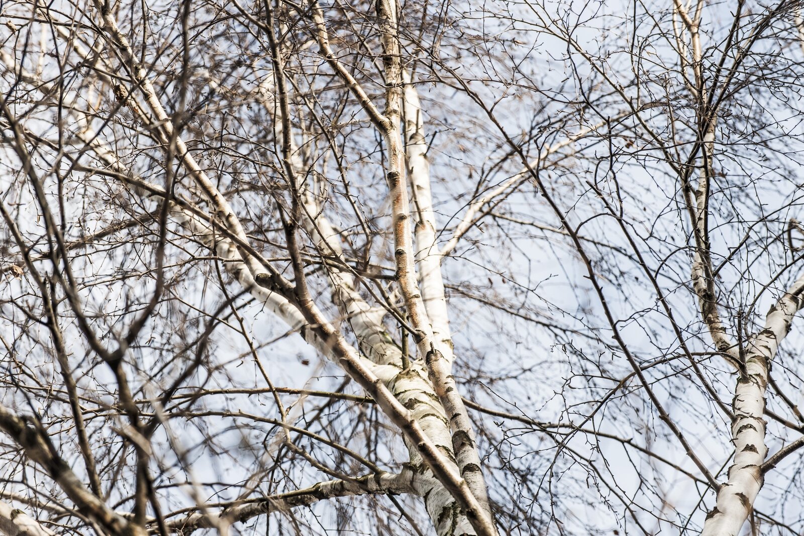 Lebenssinn, Berufung, Coaching Kiel