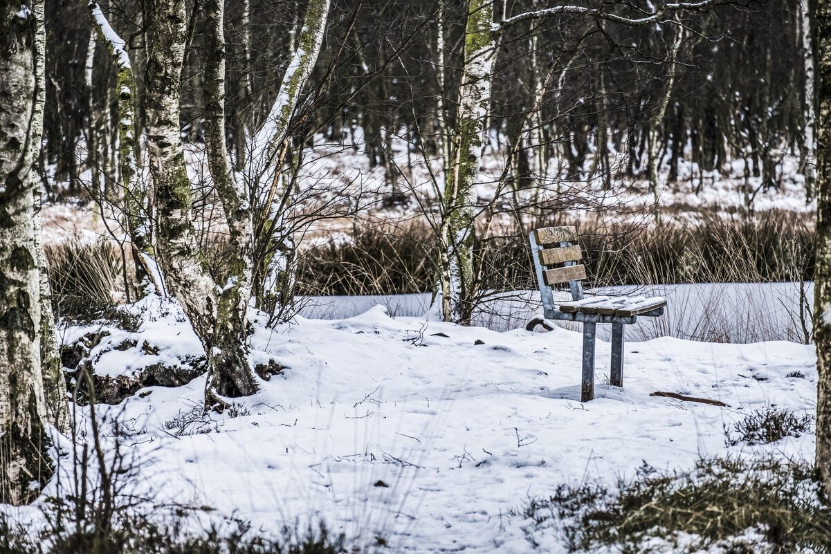 Lebenssinn, Coach Kiel, Coaching Aufbau, Ostsee
