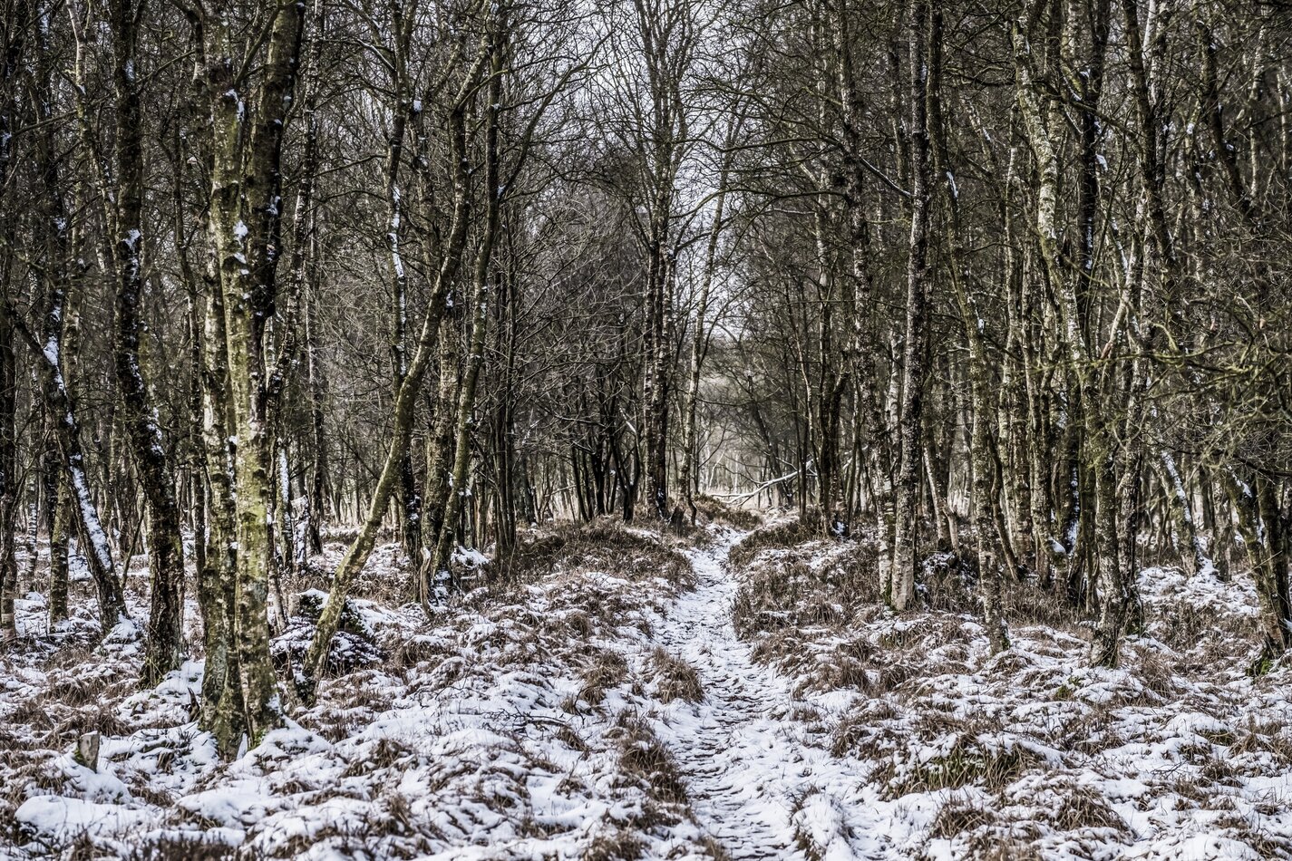 Passung, Berufliche Entwicklung, Christian Birke Coaching, Beruf, F&uuml;hrungskr&auml;fte Coaching, Kiel