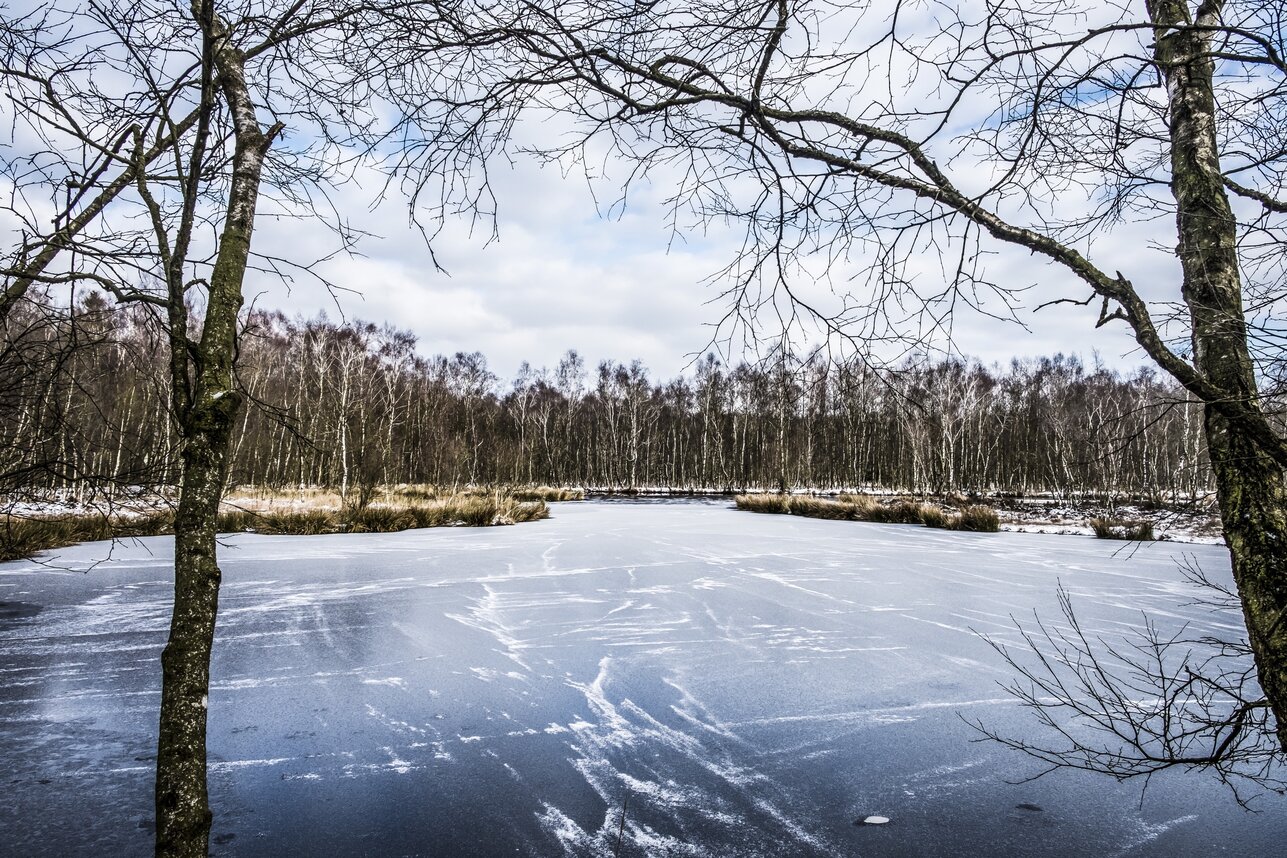 Glück im Norden, Ostsee, Kiel, Coachingreise