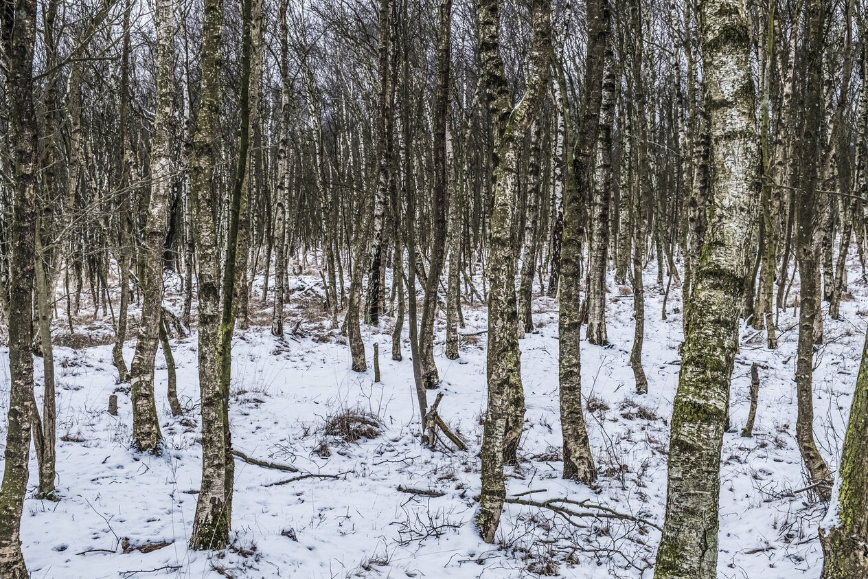 M&auml;nnerfreundschaft, Freundschaftsband, Freund, Freunde Halt geben
