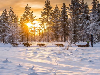 Coaching-Reise, Reise Schlittenhunde, Coaching, Coach