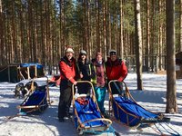 Coaching-Reise, Hundeschlitten, Wildnis