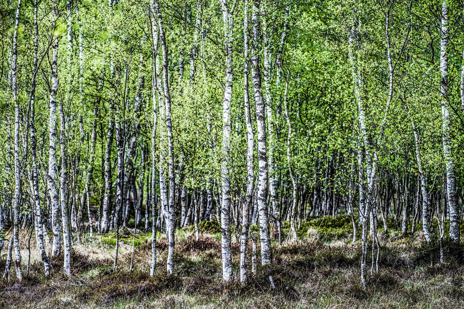 Life Coach, Coachingreise, Gl&uuml;ckswachstum