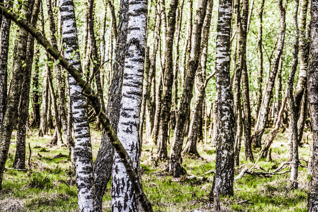 Freundschaften, Miteinander Leben, coaching 