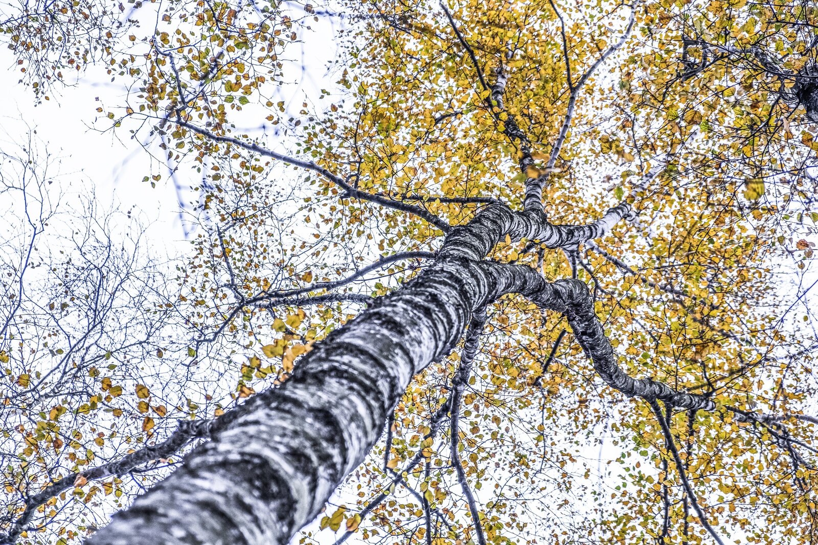 Kraftvoll wachsen, Coach Schleswig-Holstein, Coachingreise