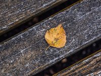 Coachingreise Stress Reduktion Kiel