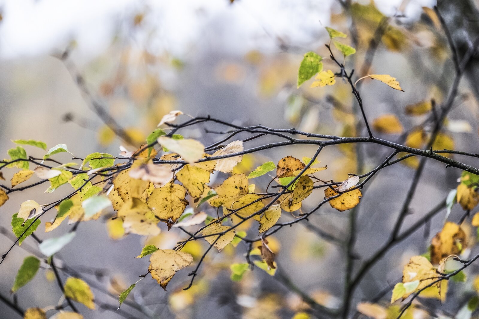 Klarheit Kraft Lebensfreude finden Coaching Ostsee