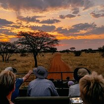 Coaching Urlaub Namibia Afrika, Safari des Lebens Kalahari