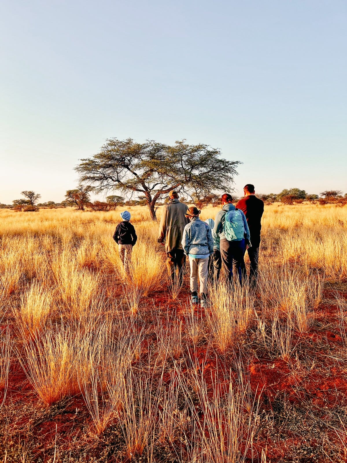 Pirschen Nashorn suchen, Coachingreise, Coachingurlaub Afrika