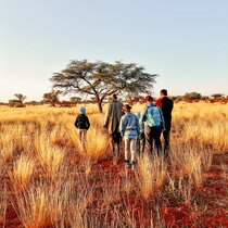 Pirschen Nashorn suchen, Coachingreise, Coachingurlaub Afrika