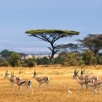 Coachingreise Naturerlebnis Afrika