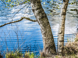 Coaching Klarheit Berufswahl, Berufung finden Coaching, Coach Ostsee