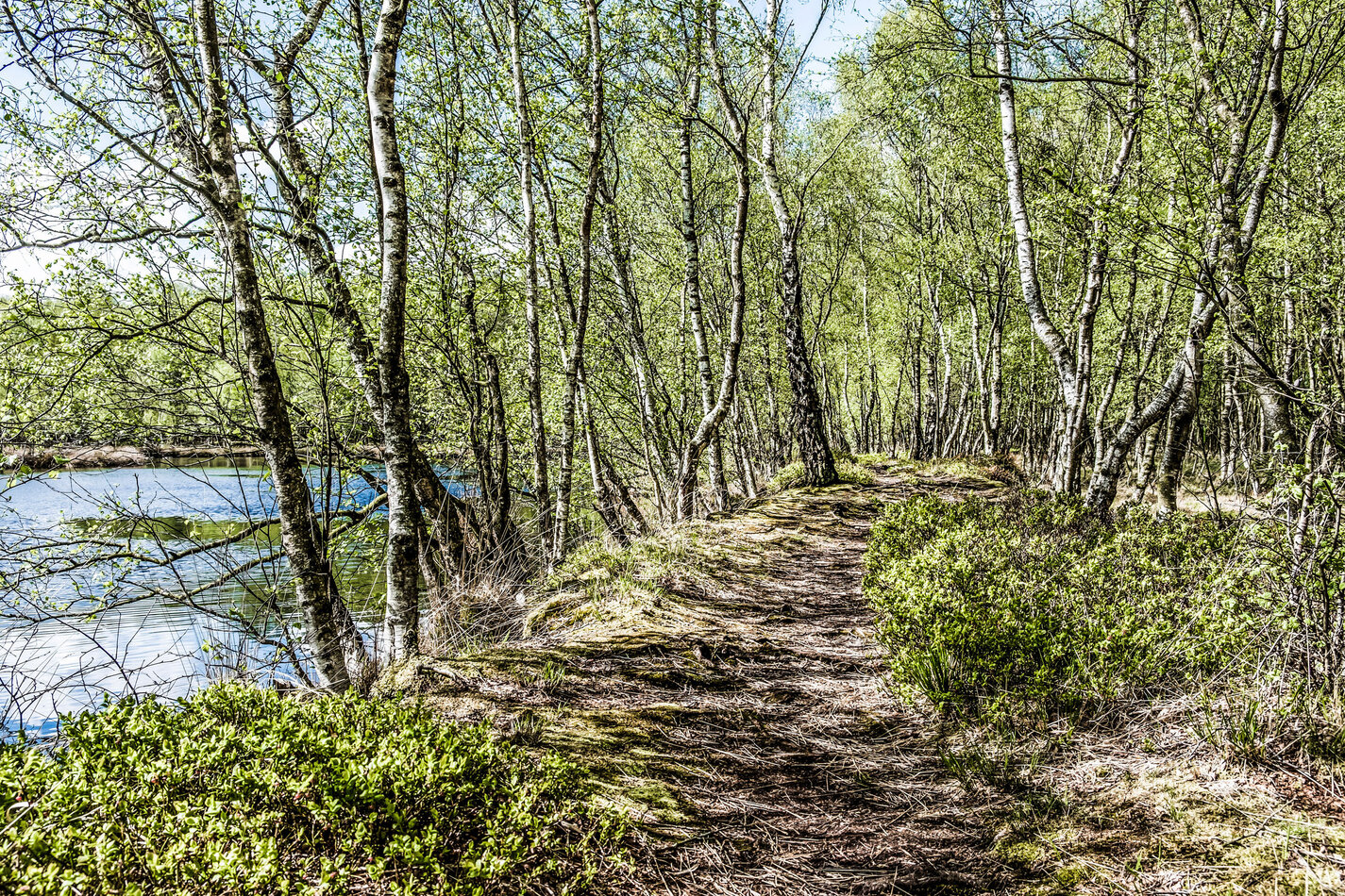 Waldbaden Kurzurlaub Wochenende Kiel