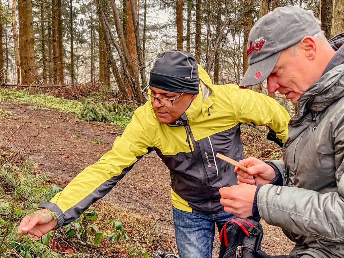 Waldbaden Achtsamkeit Sinne schärfen, Wahrnehmen