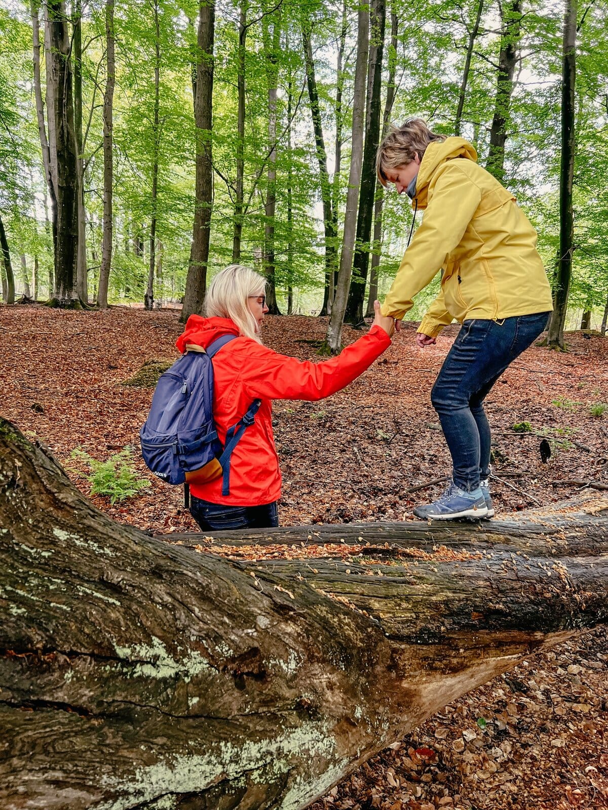 Coachingurlaub Ostsee Waldbaden Partnerübung