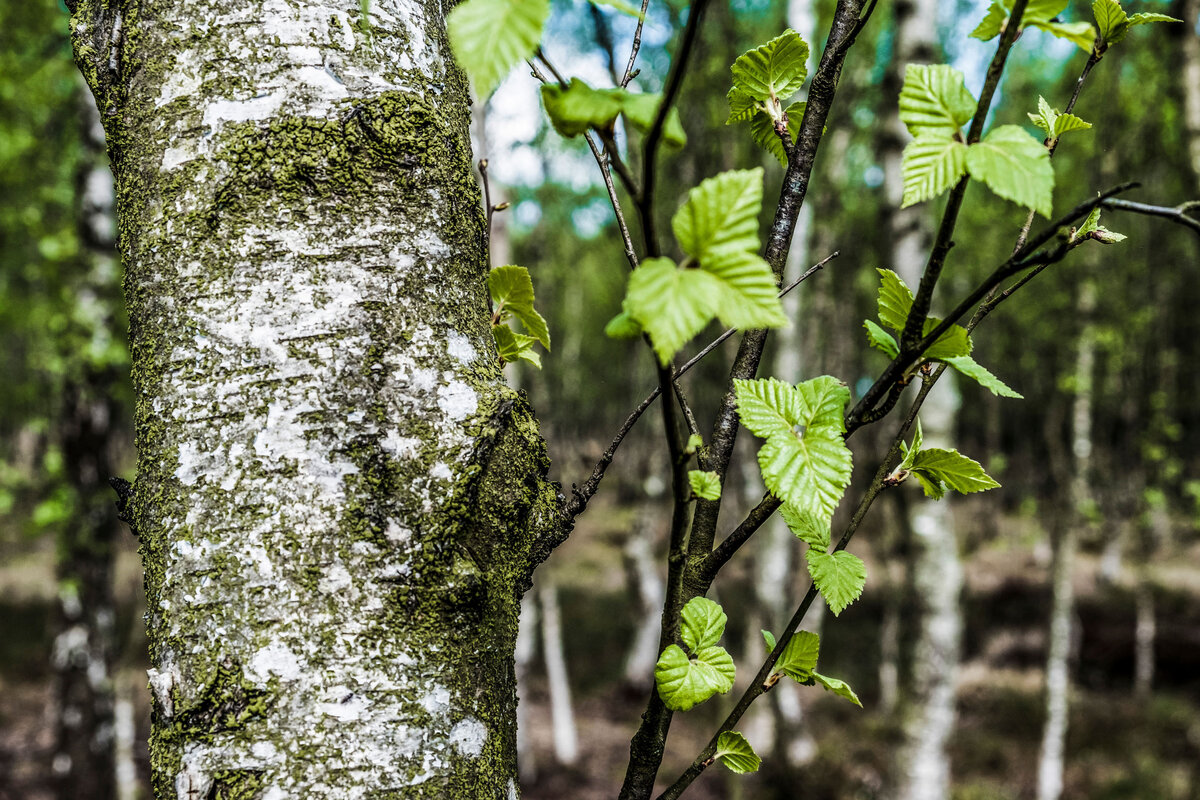 Personal coaching Baltic Sea, life coaching Baltic Sea