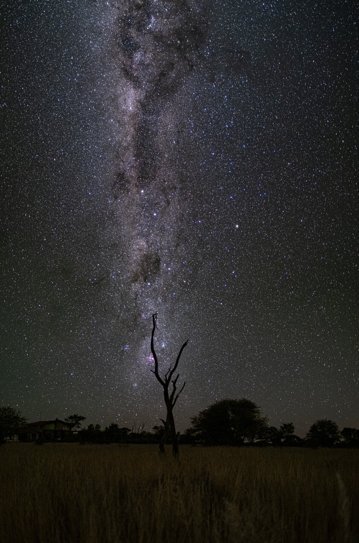 Clarity by virtue of joie de vivre on the Nature Safari coaching trip